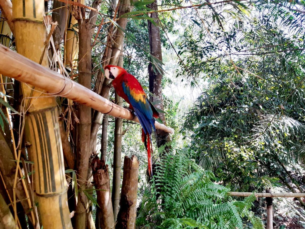 Casa Campo Emaus Caucasia Dış mekan fotoğraf